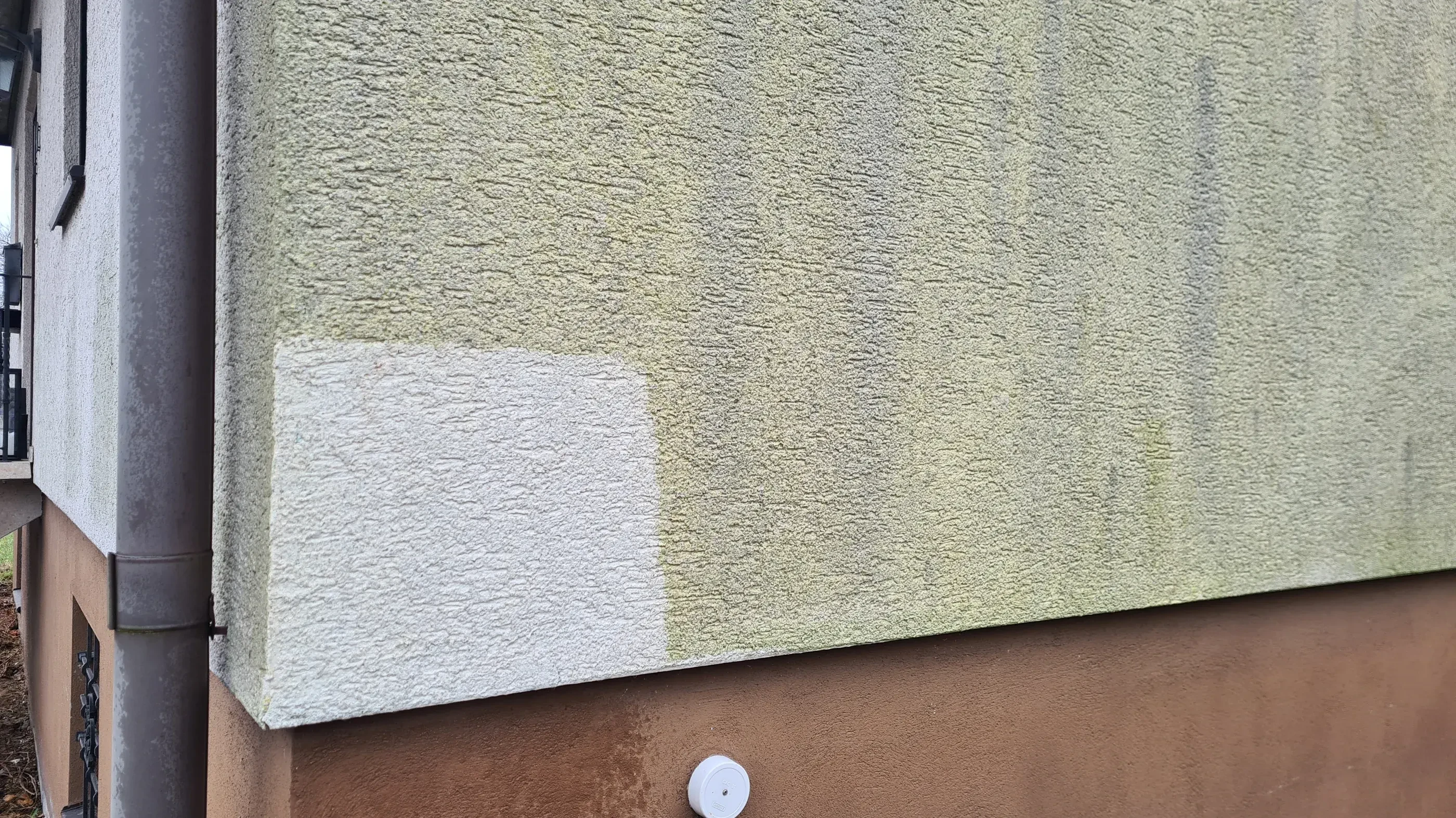 Echte Probefläche: ein Stück Wand gereinigt, rundherum noch der grüne Belag